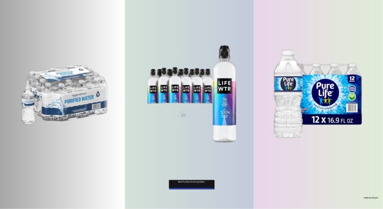 5 Best Purified Drinking Waters (2026 Guide)